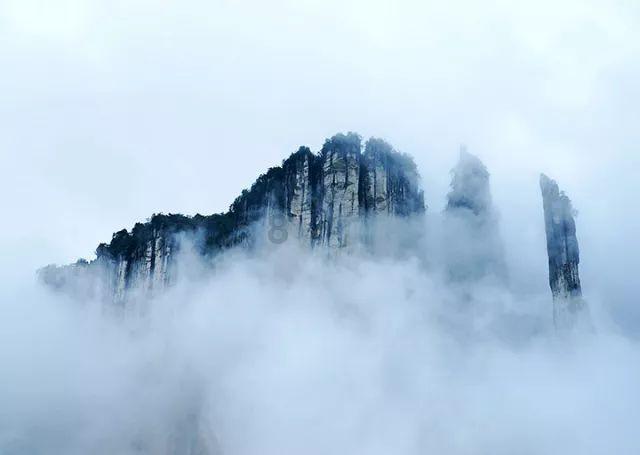 《航海王 启航》不受欢迎,玩家吐槽养成难、剧情差、竞技场黑